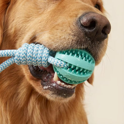 Cotton Rope & Rubber Dog Chew Ball