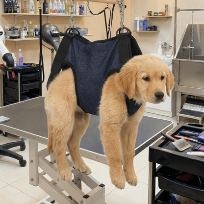 Adjustable Dog Sling Harness