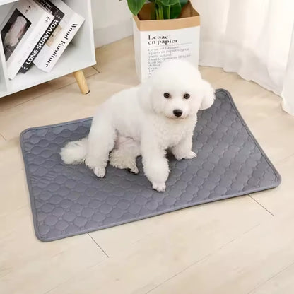 Dog Pee Pad Reusable & Washable