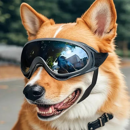 Adjustable Pet Goggles-Anti UV Glare & Windproof